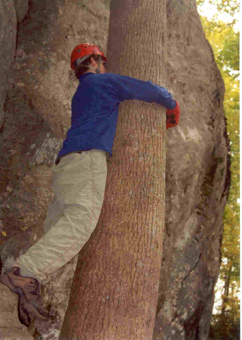 oawinkhuggingatree.jpg